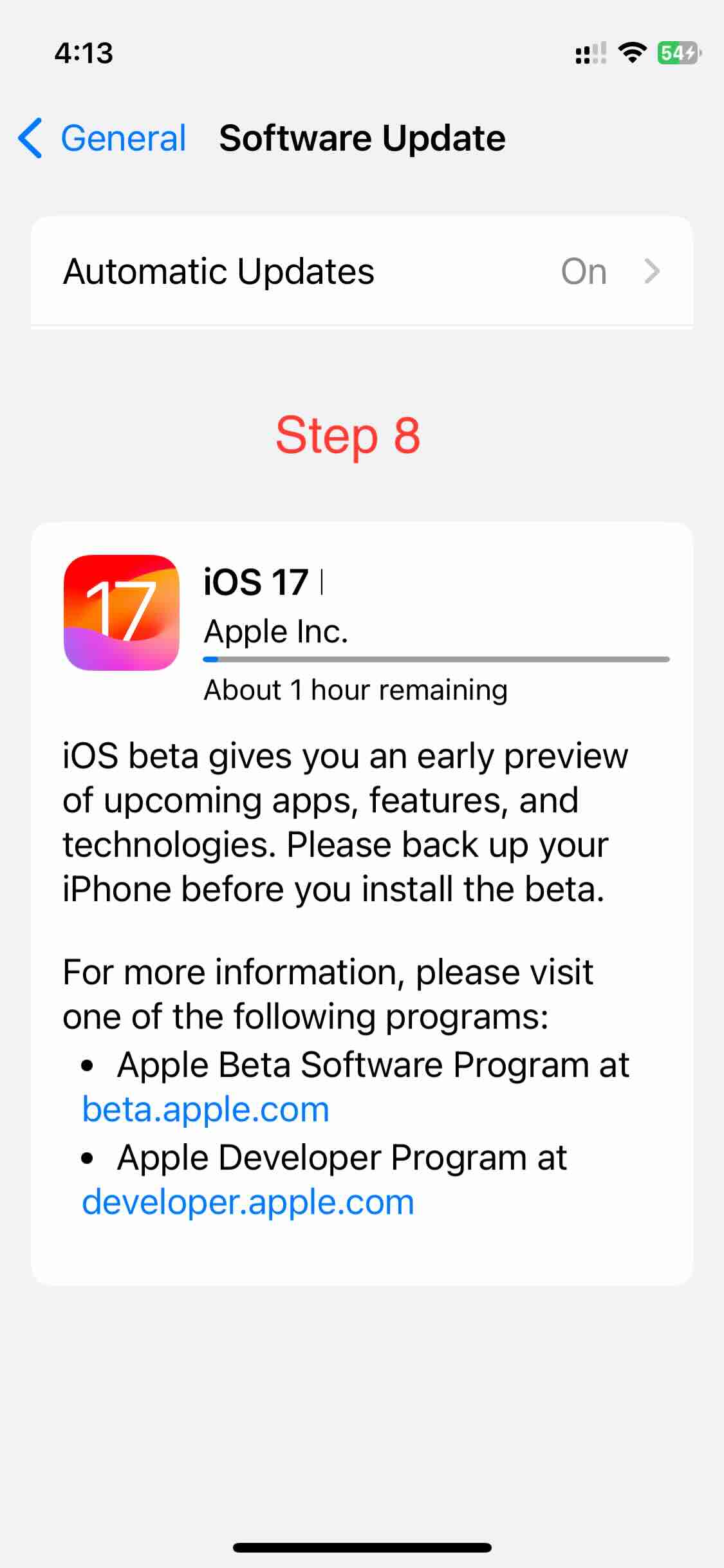 Step 8 - The Download Starts after Verification
