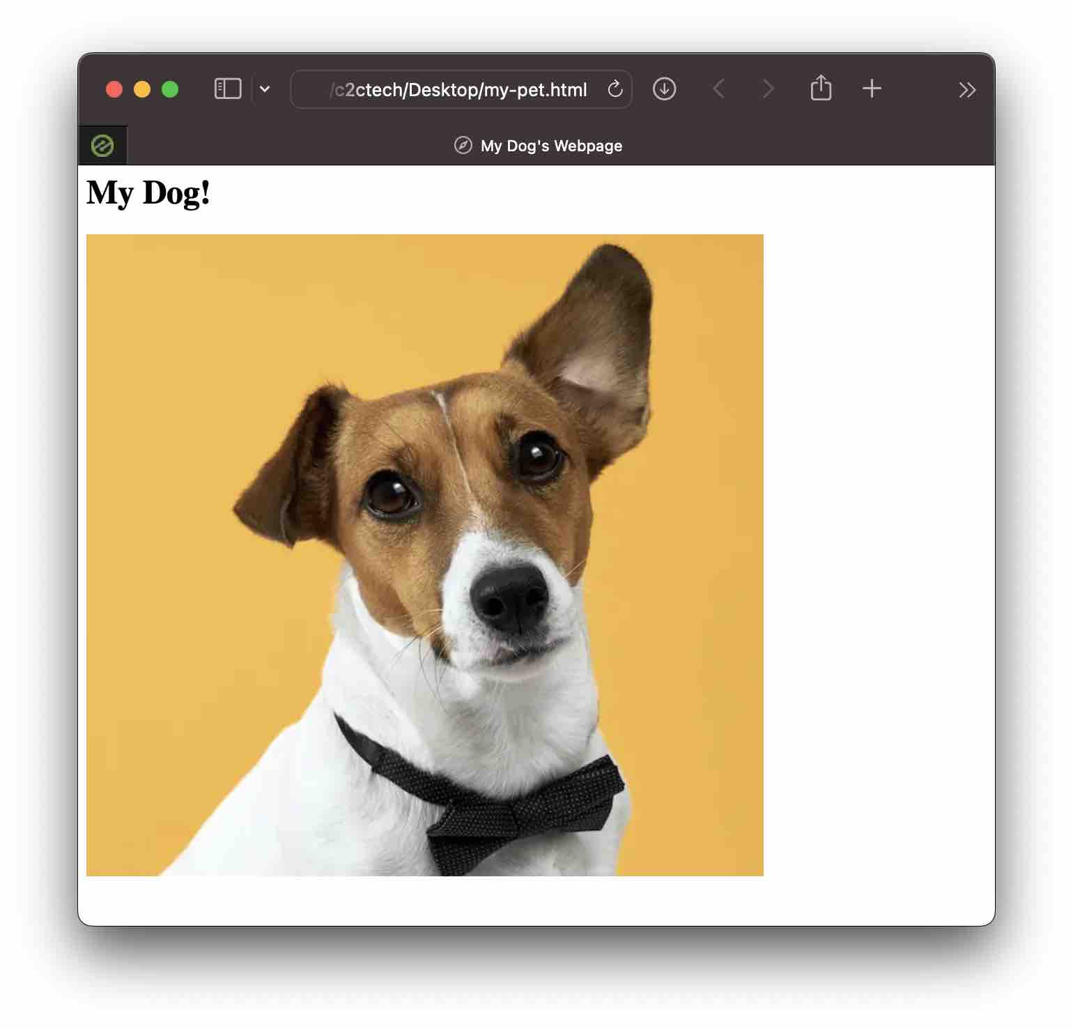 first-html-image-example-my-dogs-page