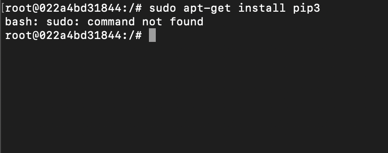 bash: sudo: command not found